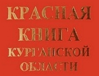 Растительный мир курганской области